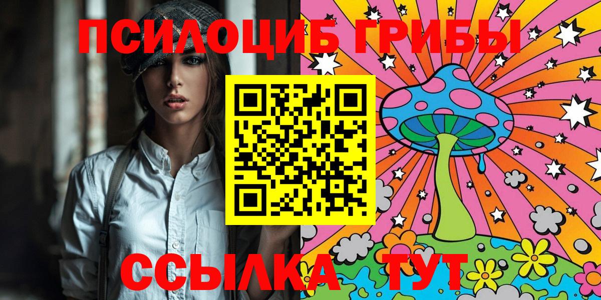 Псилоцибиновые грибы Psilocybe Торжок